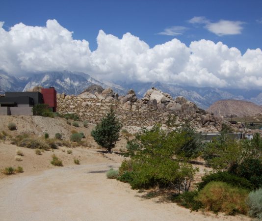 looking west
