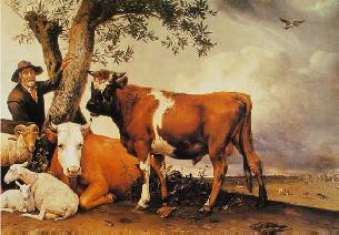 Paulus Potter:&nbsp; Young Bull&nbsp; 1647