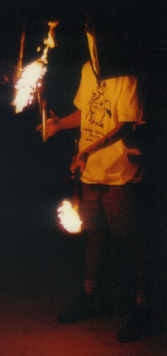 nighttime photo lit solely by the torches; click to embiggen