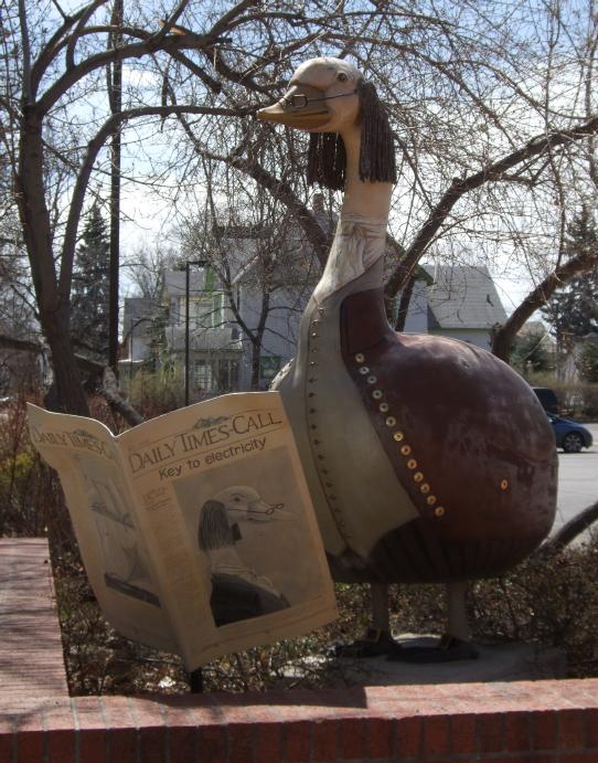 goose as Benjamin Franklin at 4th and Terry in Longmont
