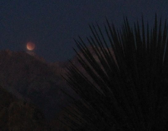 eclipsed moon, mountains, Joshua tree; 6:08 PST