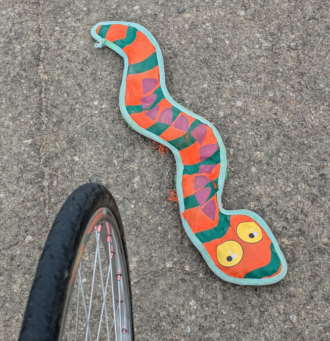 on the same road as yesterday's snake, even