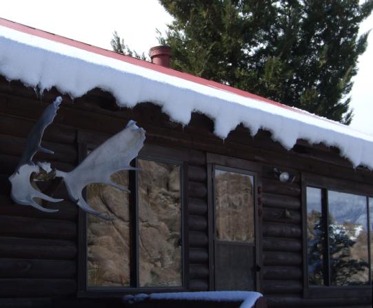 снег