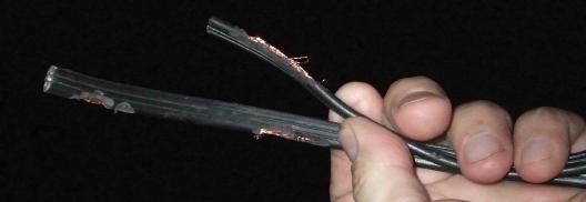 rodent gnawage