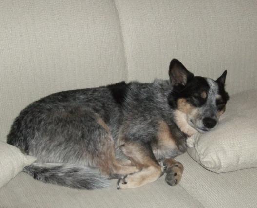 did I say you could sleep there?