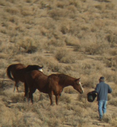 pic taken through (½ of) a pair of binoculars
