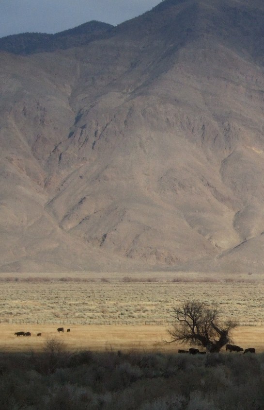 this afternoon, near Bishop