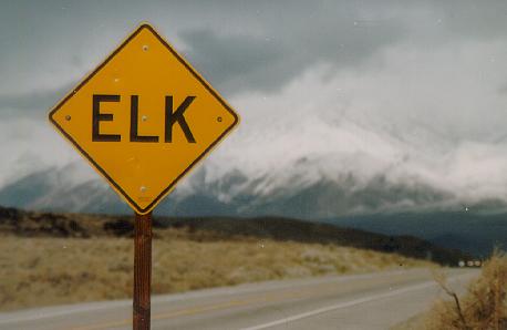 ELK