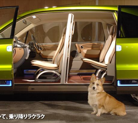Honda Dog