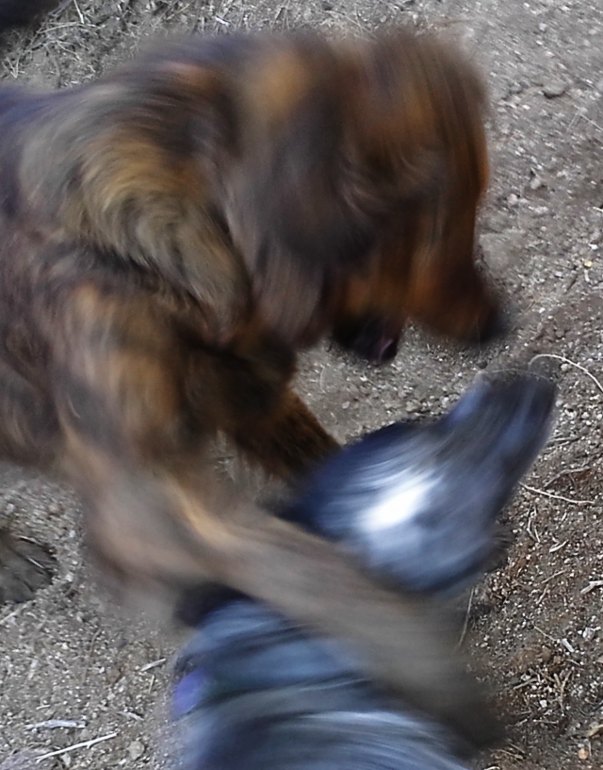 at play