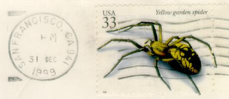 spider 1999