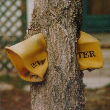 tree wins